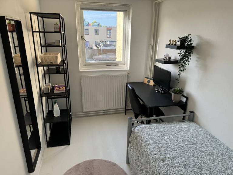 foto22