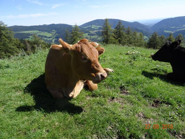 foto39