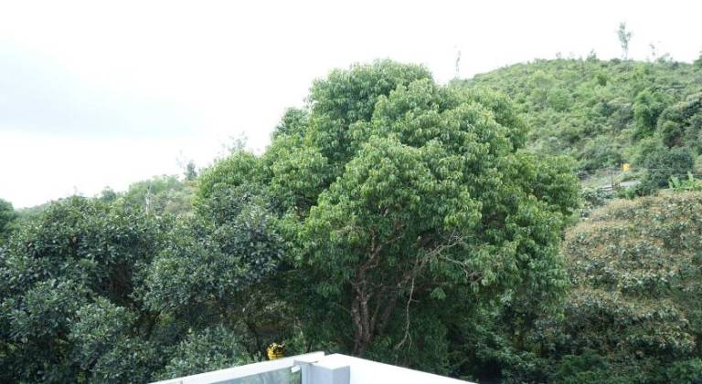 foto35