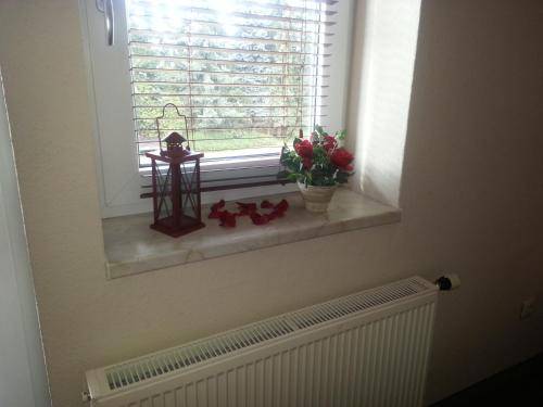 foto8
