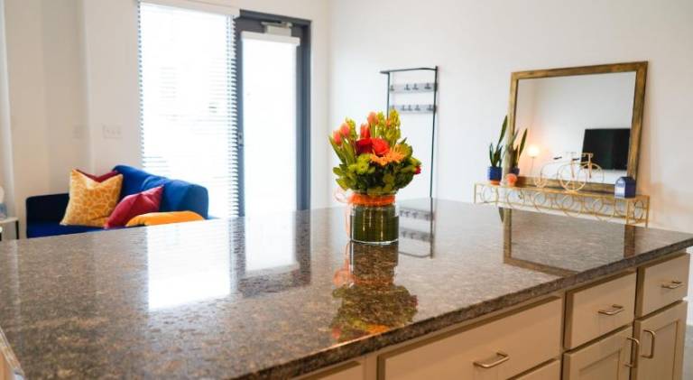 The Sunflower Suite — photo 5