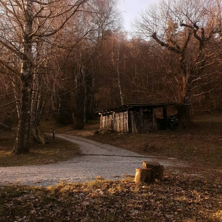 foto15