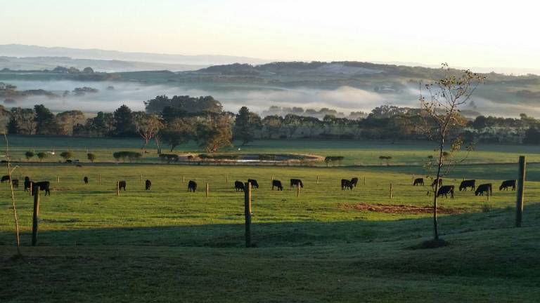 Farmhouse  Inverloch