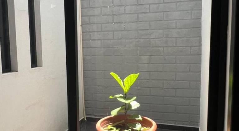 foto9