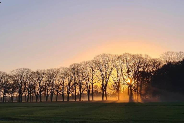 foto38