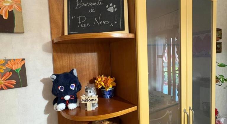 Apartment | Pet-friendly in Pompei