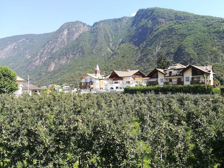 Bed & Breakfast Val di Non