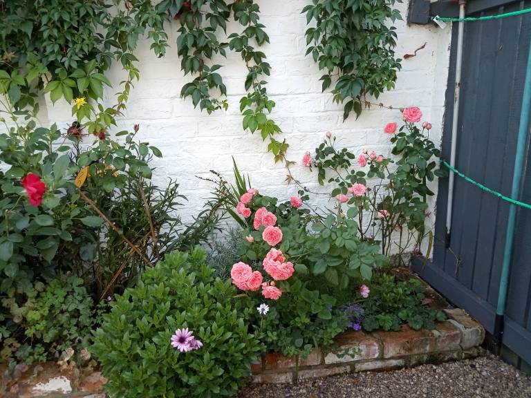 foto20