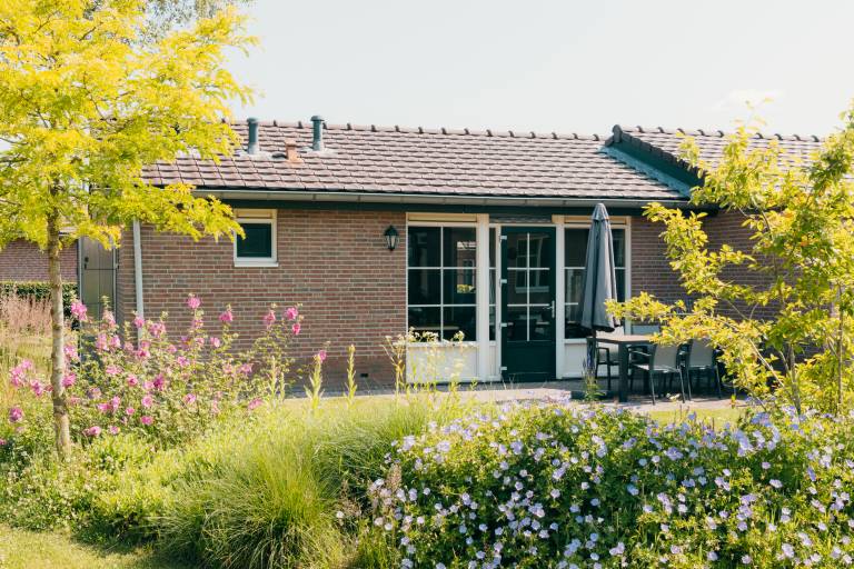 Family-oriented nice holiday park with pool, garden & terrace | Pet-friendly in Garderen