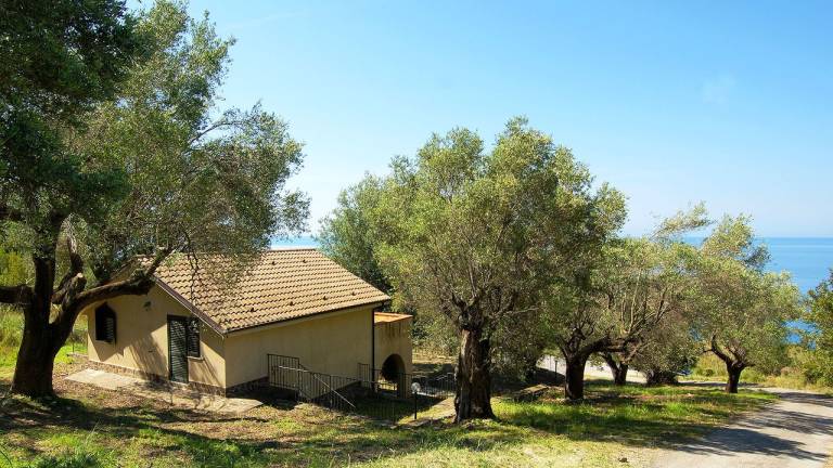 Ferienhaus  Pisciotta