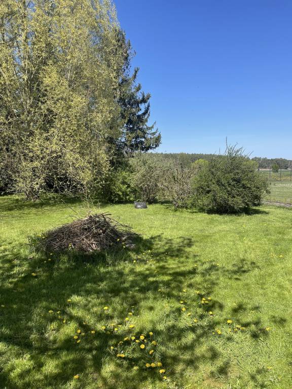 foto15
