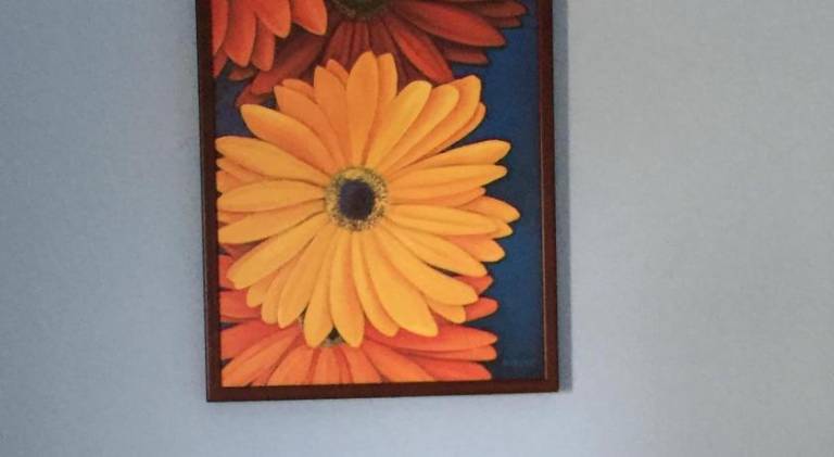 foto48