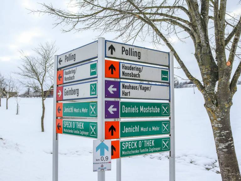 foto12