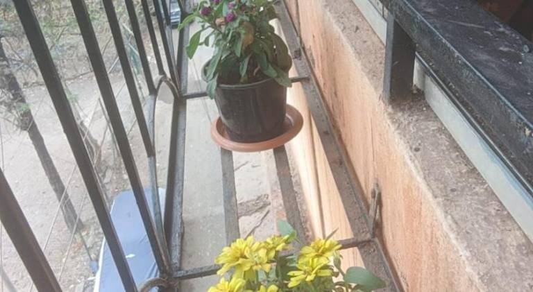 foto33