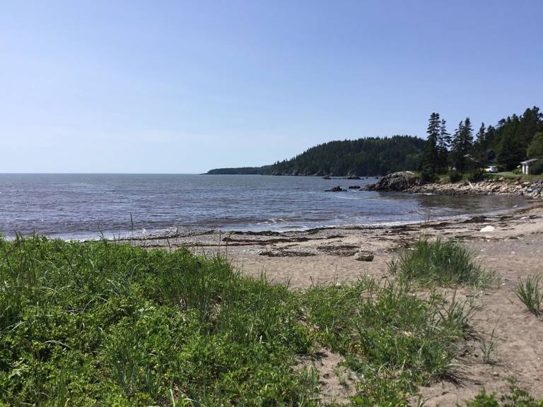 Cabin Chance Harbour