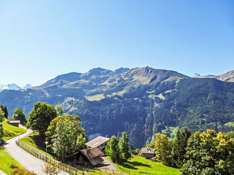 Apartamento Wengen