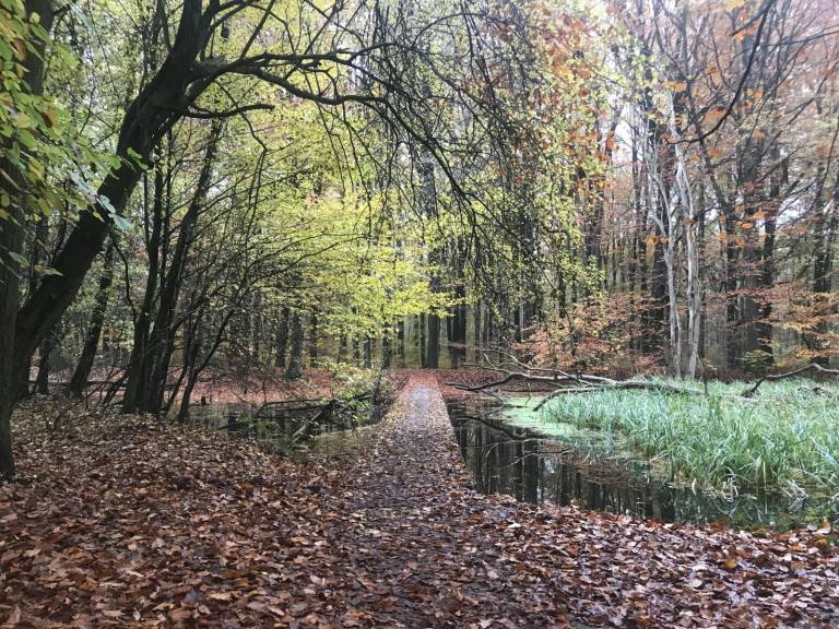 foto20