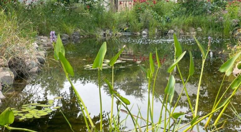 Rental apartment with 1 room for 4 persons in La Tuque, QC