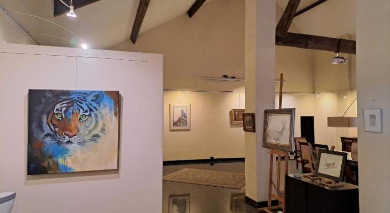 foto5