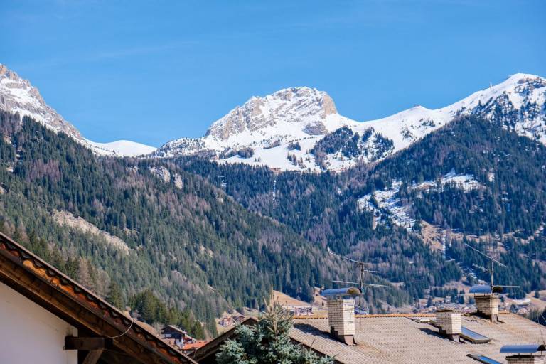 Casa Massari-Edelweiss — photo 3