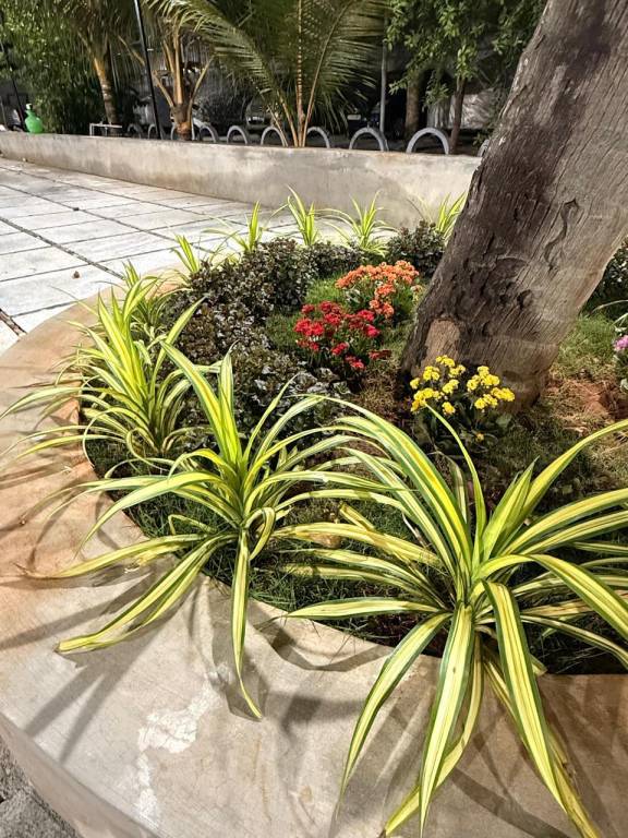 foto26