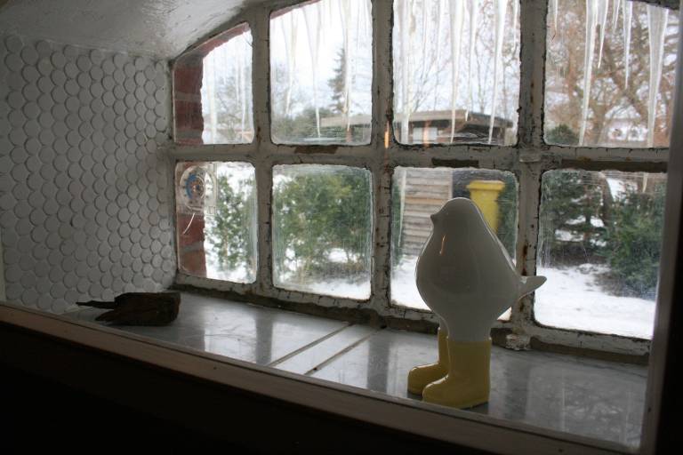 foto15