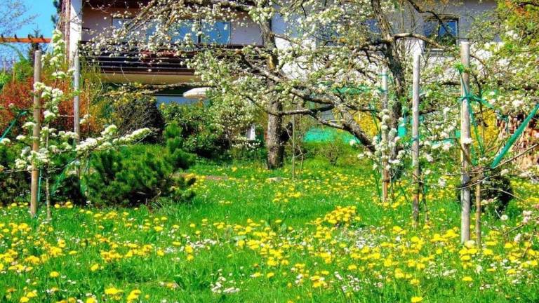 Ferienwohnung Rottweil