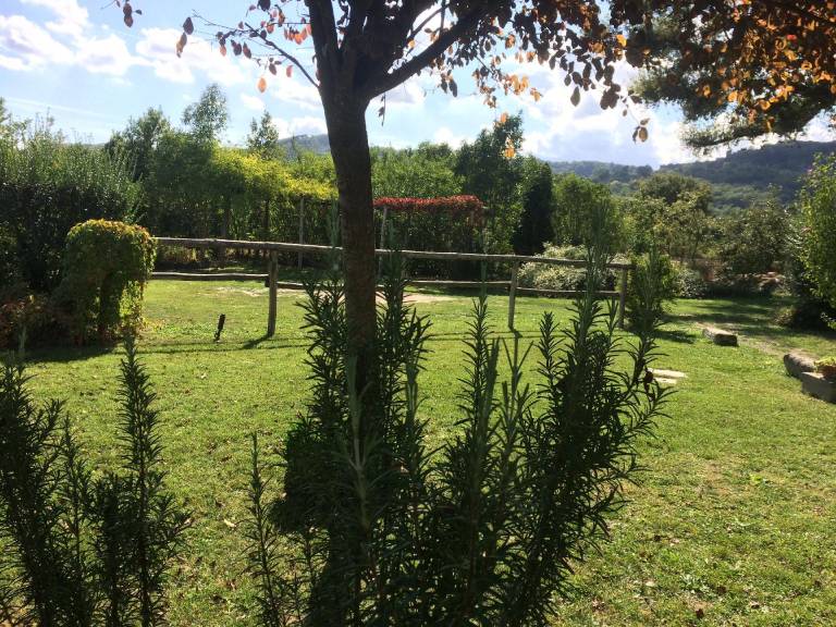 foto42