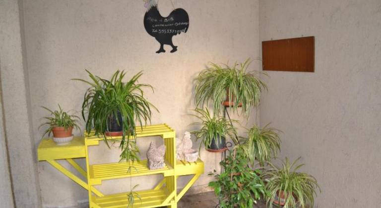 Il Giardino del Gallo — photo 4