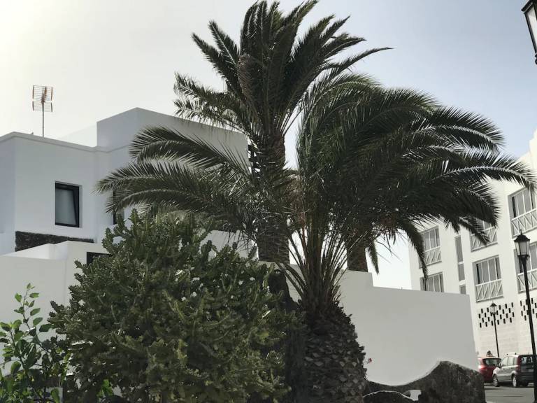 Apartment  Corralejo