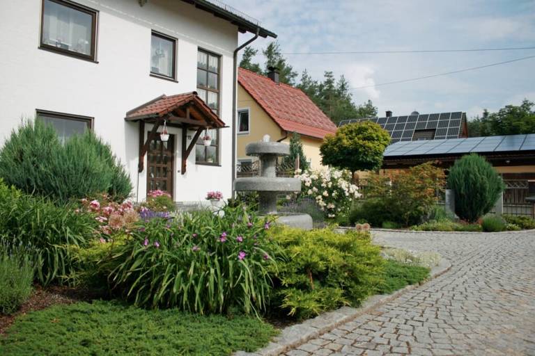 foto16