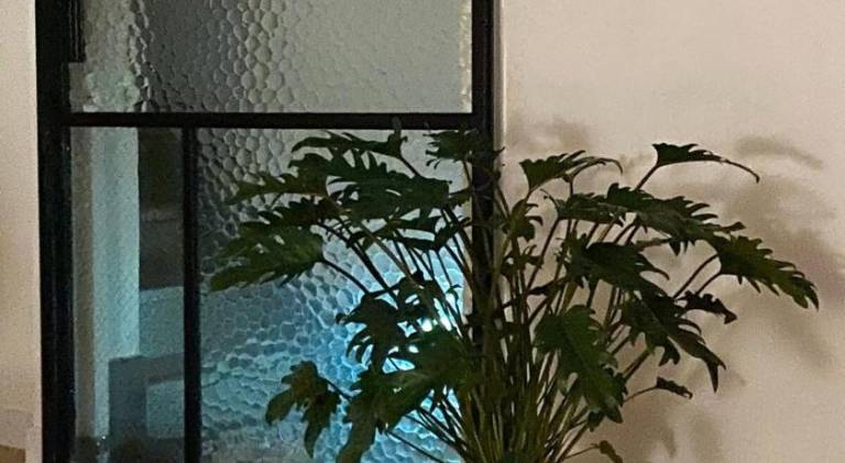 foto29