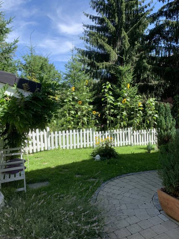 foto13