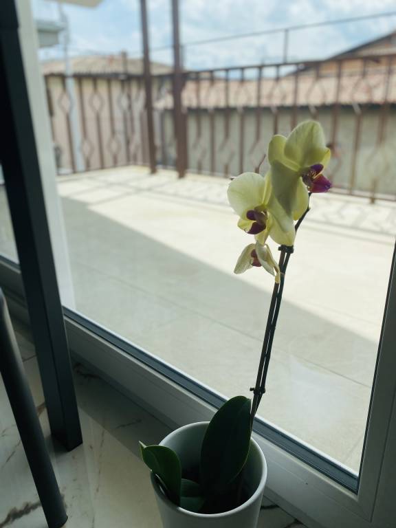 foto23
