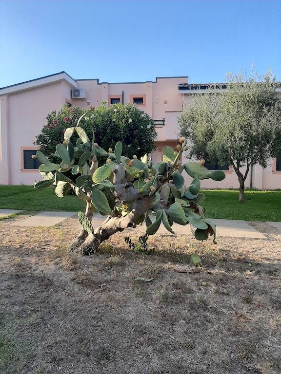 Casa Isca Marina