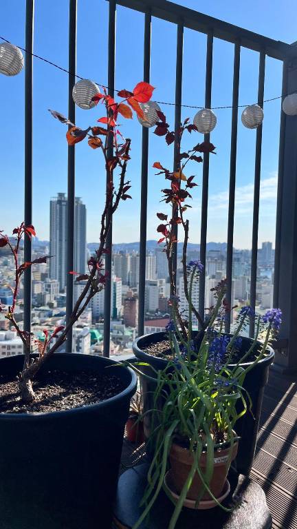 foto31