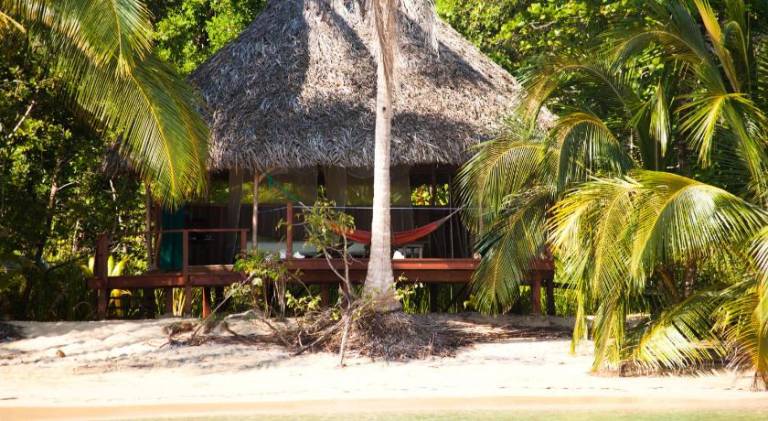 Al Natural Resort — photo 2