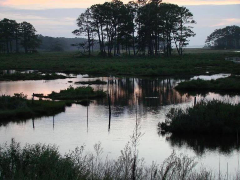 Chincoteague Island Vacation Rentals from 191 HomeToGo