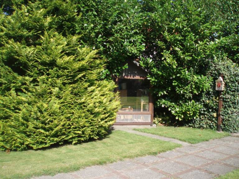 foto14