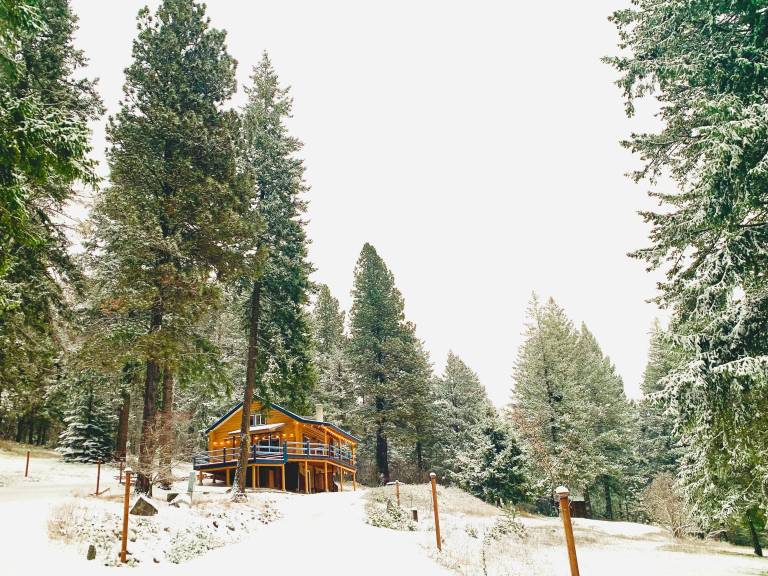 Cabin Sagle