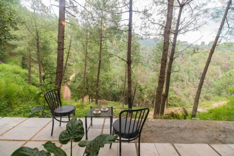 Pinewood Nirvana Jungle Resort — photo 4