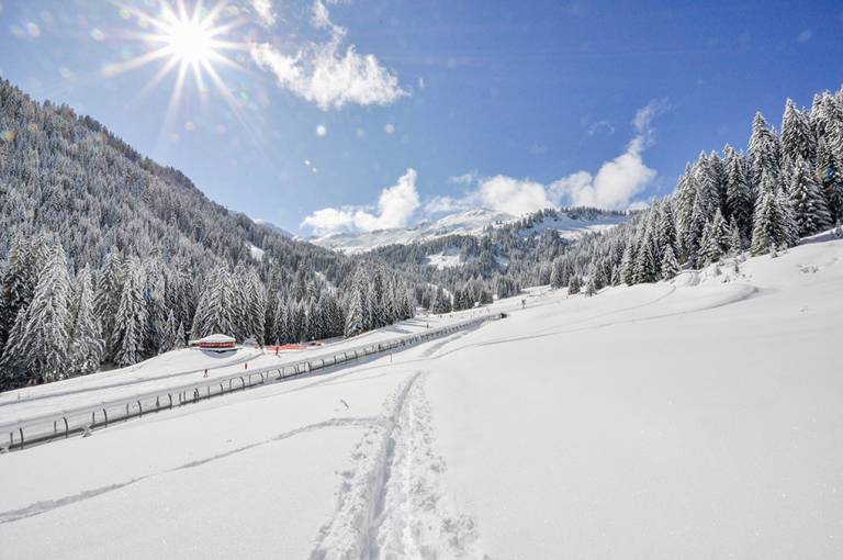 Ferienwohnung in Châtel, Französische Alpen, Frankreich