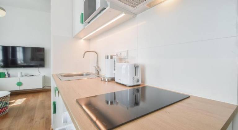 Beautiful rental apartment | Next to Holy Trinity Column | Pets allowed — photo 3