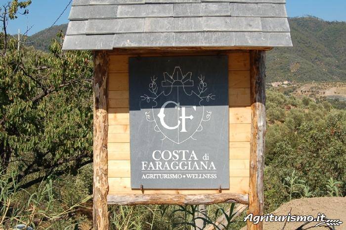Costa di Faraggiana: Acacia — photo 2