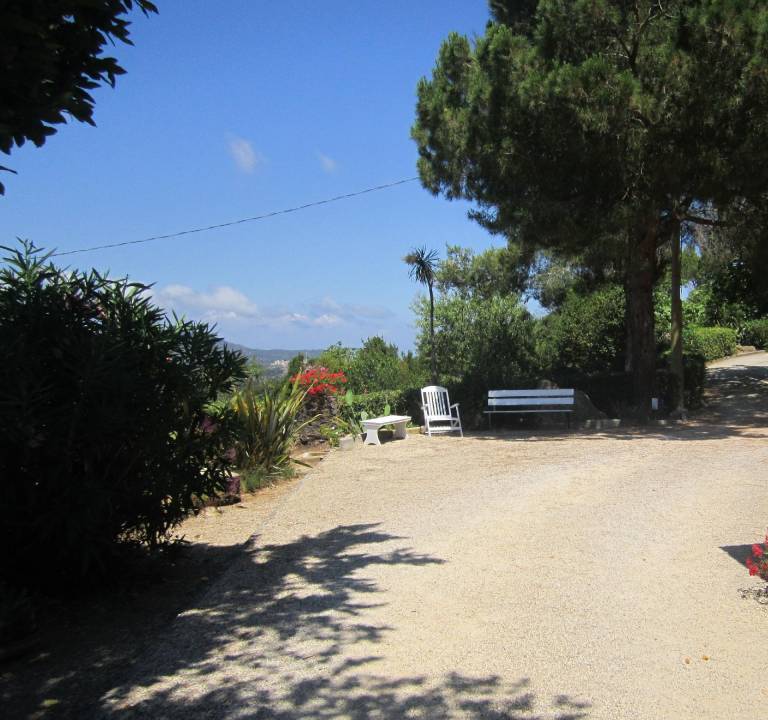 foto15