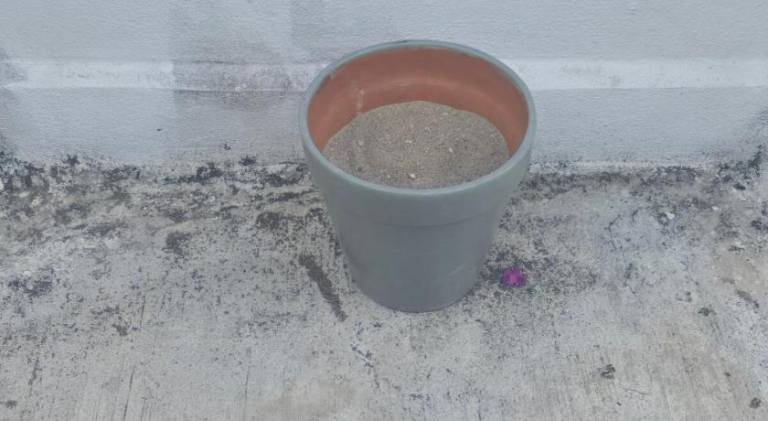 foto13