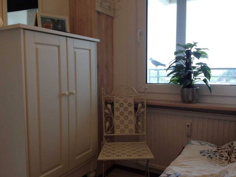 foto8