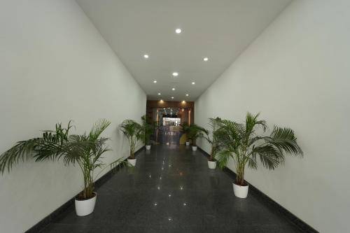 foto7