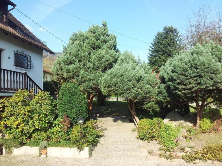 Maison de vacances  Rosheim