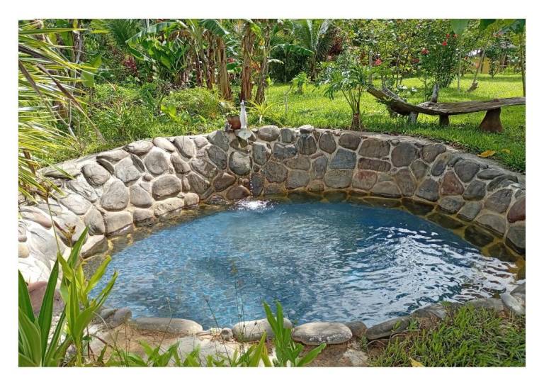 Farm with garden, pool & barbecue | Next to the beach | Pet-friendly — photo 3